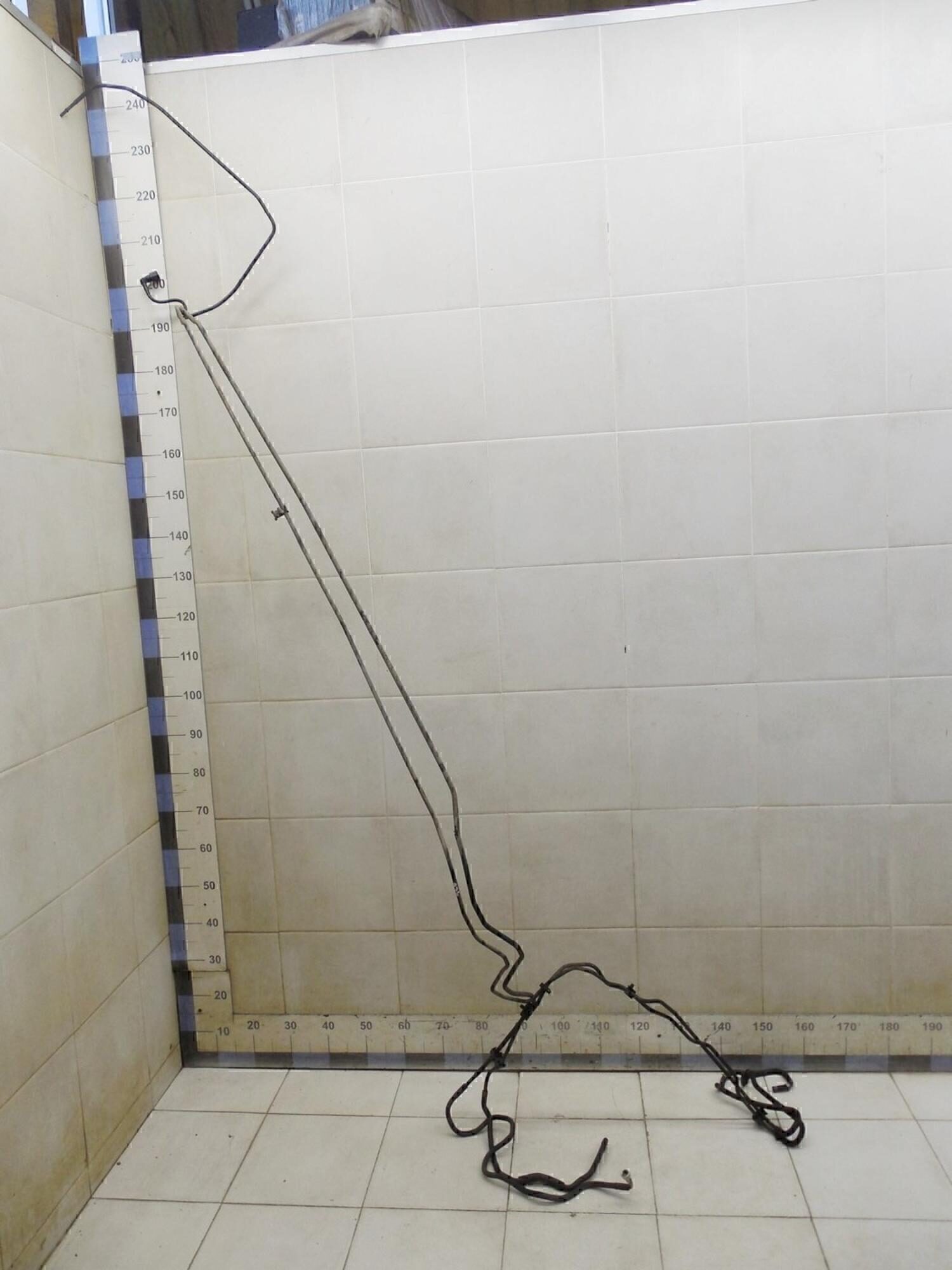 Трубка топливная NISSAN X-Trail (T31) 2007-2014