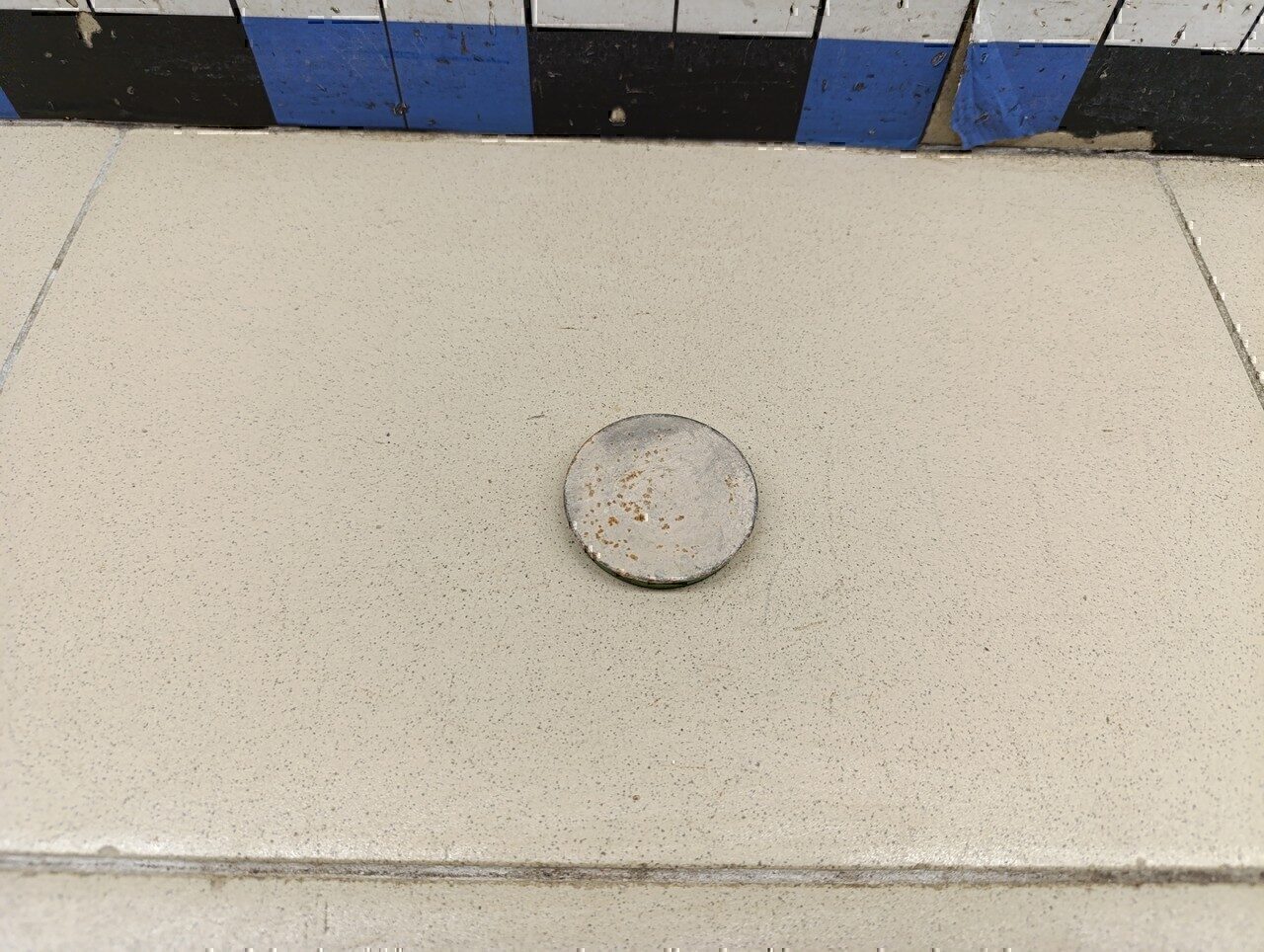 Крышка ступицы SKODA Polo (Sed RUS) 2011>