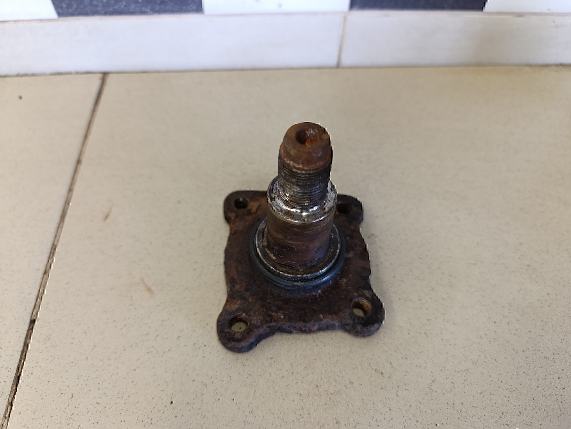 Цапфа (п.з.к.) FORD Focus I 1998-2004