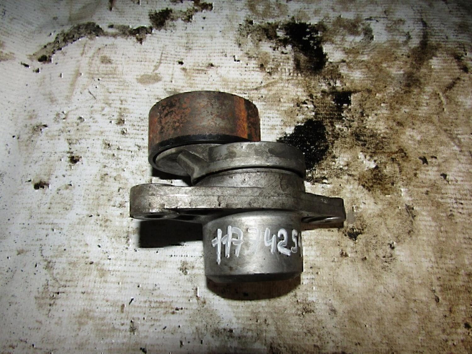 Натяжитель ремня RENAULT Clio/Symbol 1998-2008